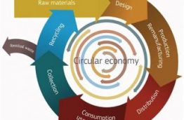 APINI researchers will contribute to circular economy creation