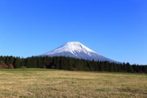 mount_fuji_from_meadow