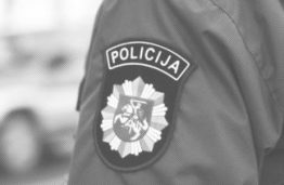 Karjeros galimybės policijos sistemoje