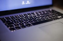 JAV ekspertas: vis daugiau internautų kenčia nuo kibernetinio terorizmo