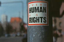 KTU tyrėjai: Po 2020 m. Seimo rinkimų – didesnis dėmesys žmogaus teisėms